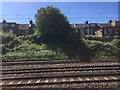 London Overground - approaching Kensal Green