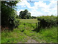 Field entrance off Woodgate Road