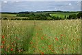 Farmland, East Garston