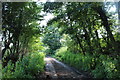 Bridleway in Woodside