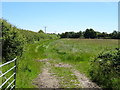 Grassland and hedgerow near Upper Hollowfields Farm