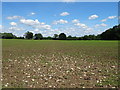 Crop field off Salt Way (B4090)