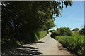 Tarka Trail near West Buckland