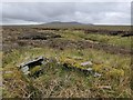 NB3842 : Shieling hut, Gleann Airigh na Faing, Isle of Lewis by Claire Pegrum