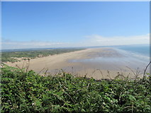 SS4437 : Saunton Sands by T  Eyre