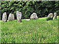 Kinnell Stone Circle - Killin