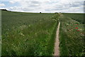 TQ0047 : Footpath Near Shalford by Peter Trimming