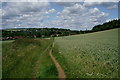 TQ0047 : Footpath Near Shalford by Peter Trimming