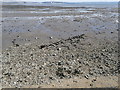 Old wreck on Mumbles beach