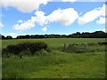 NZ1157 : Field gateway by Robert Graham