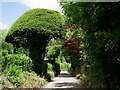 Topiary at Brook