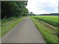 Minor road between Coney Bank and arable field heading towards Sheriffton