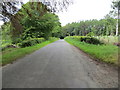 Stormontfield Road beside Gelly Brae Wood