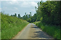 Lane towards Orton