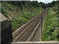 Rail embankments after mass-pruning