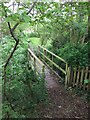 Field path and bridge over stream