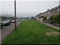 Long grass strip, Elm Drive, Risca