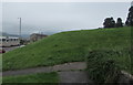 Southeast edge of a grassy bank, Elm Drive, Risca