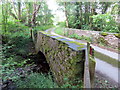 Pont dros Afon Berwyn / A bridge over Afon Berwyn