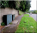 Dark green cabinets, Risca Road, Newport