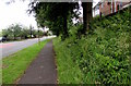 Pavement past a grassy bank, Risca Road, Newport