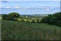 Field by Campden Wood