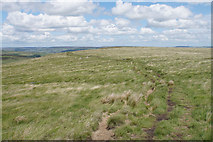 SD9920 : Path on Great Manshead Hill by Bill Boaden