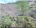 H9916 : Carraig Aifrinn na Ceathramha - Carrive Mass rock in Glendesha Forest by Eric Jones