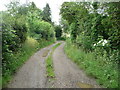 Nortonstreet Lane, Whitwell