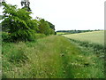 Permissive path alongside the B651, St Paul