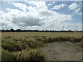 TF0917 : Fenland Field by Bob Harvey