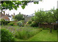 A meadow in Abbey Street, Faversham