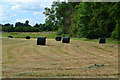 Bales in field near Oaklands Farm