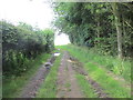 SE3764 : Path along woodland edge. by steven ruffles