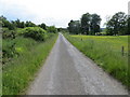 Minor road approaching Newton of Bamff