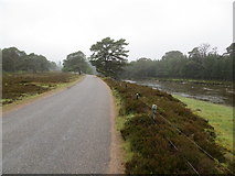 NO0789 : Road to Linn of Dee beside the River Dee by Peter Wood