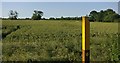 SP6497 : Farmland north of Glen Road by Mat Fascione