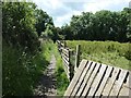 SK4743 : Public footpath from Cossall Common to Cossall Marsh by Christine Johnstone