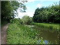 Nottingham Canal, in water, south of Foundry Cottages