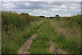 On the Footpath to Steeton Hall