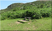 SS8948 : Hurlstone Point path resting place by John C