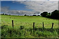 Mulnagoagh Townland