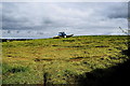 Harvesting crops, Magheragart (Donnell)