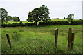 Galbally Townland