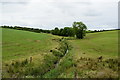 Drain, Mulnagoagh / Drumskinny