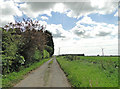 TF4512 : Second Marsh Road, Wisbech by Adrian S Pye