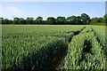 Farmland, Aston le Walls