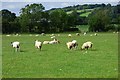 Farmland, Priors Marston