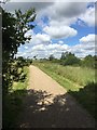 Path in Tattenhoe Park