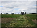 Farm track off West Road, Pointon